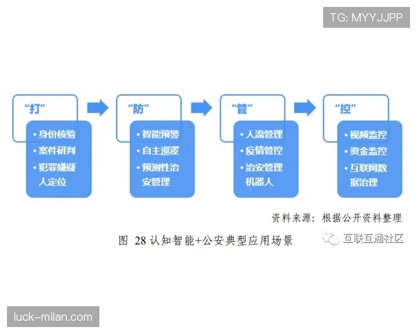 裁判报告核心内容与判罚后处理流程解析